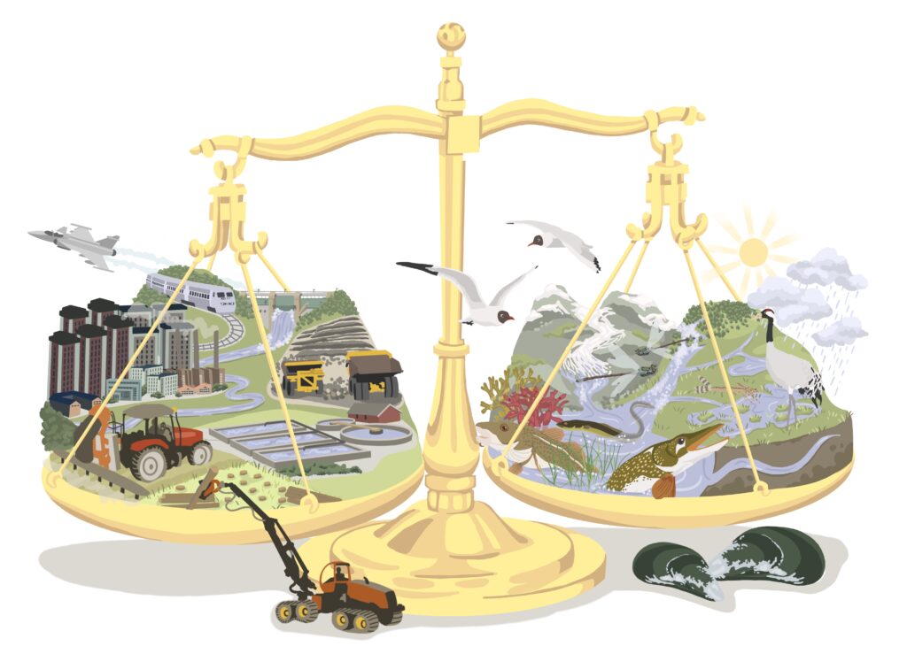 Framsida till rapport på uppdrag av Havs- och vattenmyndigheten