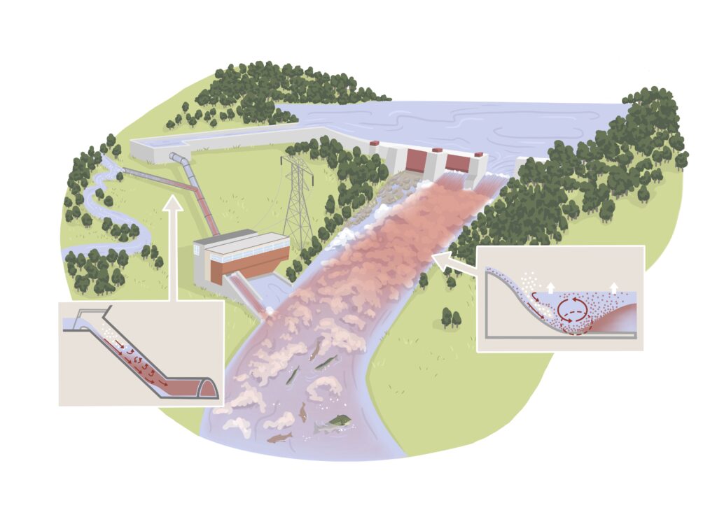 Illustration av gasövermättnad vid vattenkraftverk