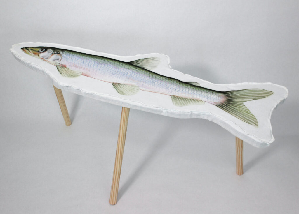 Pall med den handmålade fisken Nors på sittdynan